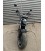 E-Chopper HL 6.0, 45 km/h, 3000 Watt, 60V 45Ah, Silber, gebraucht 100 km Reichweite, 0 km (155)