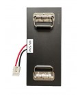 Lithium-Akku 60V/52Ah, Kabinenroller Cruise, Electron