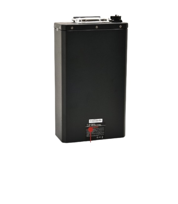 Elektroroller Ersatzteil, Classico WS, Akku Lithium