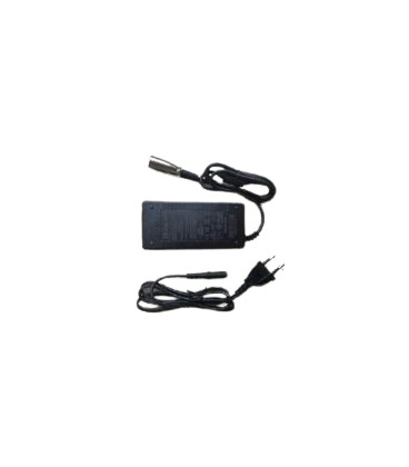 Ladegerät Lithium Vita Care 500