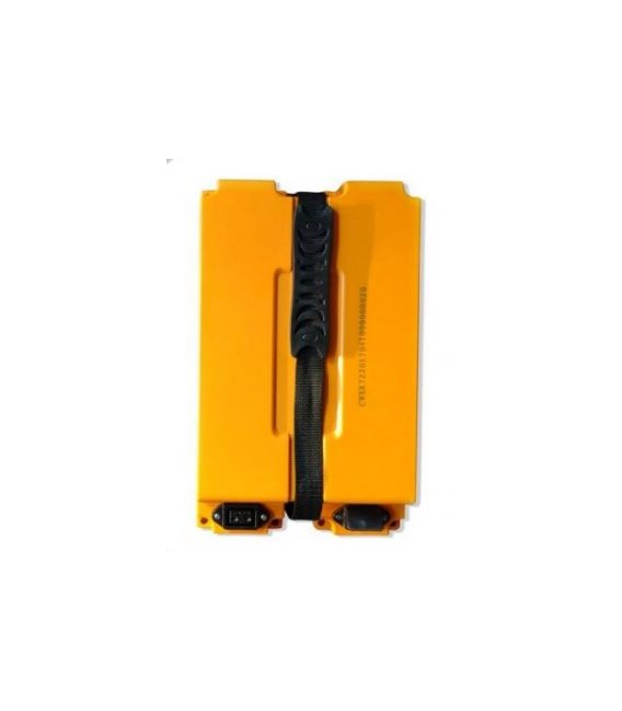 Elektroroller Ersatzteil, Classico WS, Akku Lithium