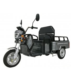 E-Mobil Cargo Plus  25/45 km/h, 72V/20 Ah Blei-Gel-Akku