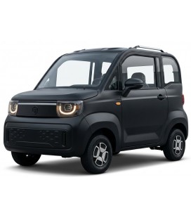 Kabinenroller "Breeze", 45 km/h, bis zu 60 km Reichweite, 60V/58Ah Blei-Gel-Akku, 2 Sitze nebeneinander