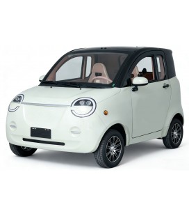 Mopedauto Dora, 45 km/h, 60V/100Ah Blei-Gel-Akku