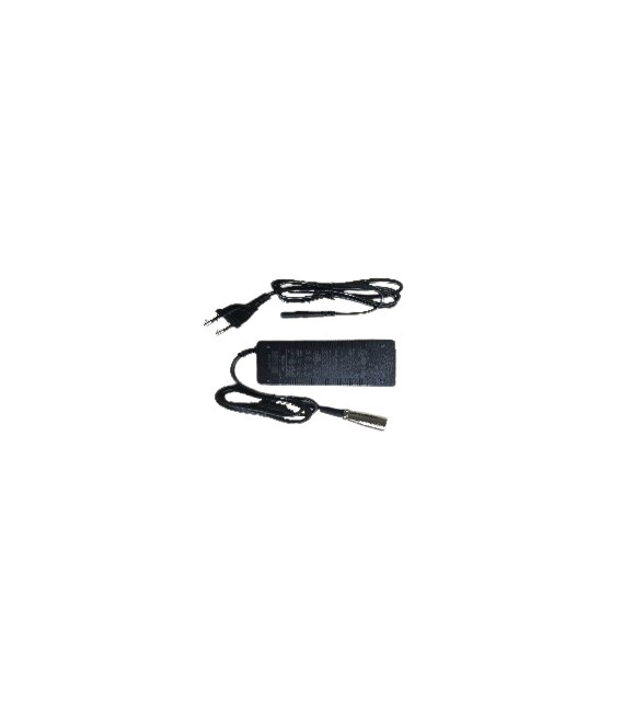 Ladegerät Lithium 24V 2A, Vita Care Viva