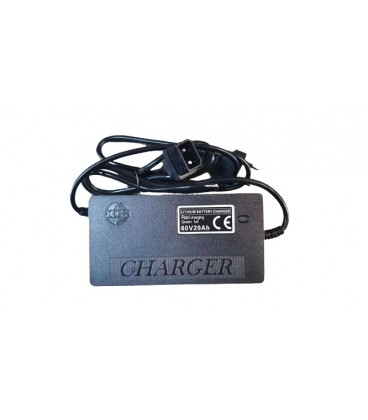 Ladegerät Lithium, 60V/6Ah Vita Care 1000,2000, 4000, 4000 Premium, E-Nobilus, Neo