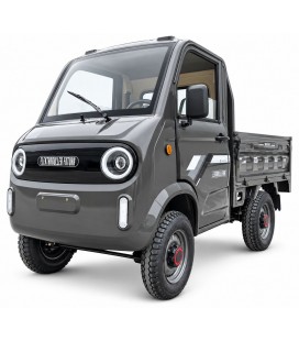 Elektro-Mini-LKW „Cargo Carrier“, 72V/100Ah Akku, 2 Personen